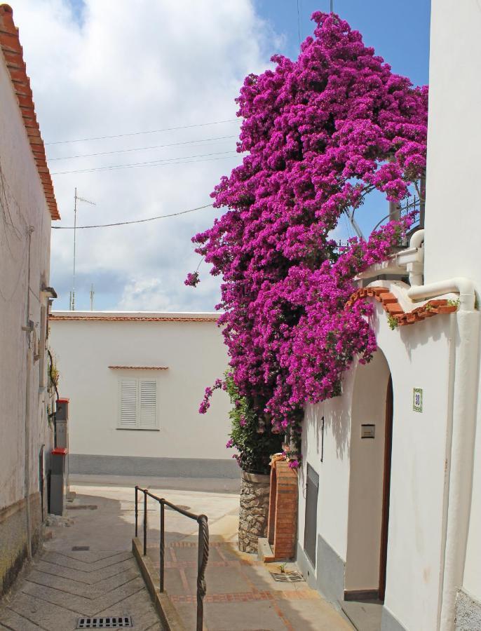 B&B Casa Angelina Anacapri Kültér fotó